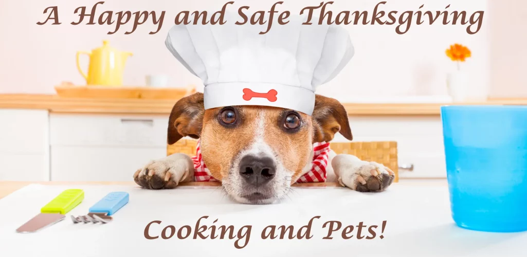 A_Happy_and_Safe_Thanksgiving_Blog